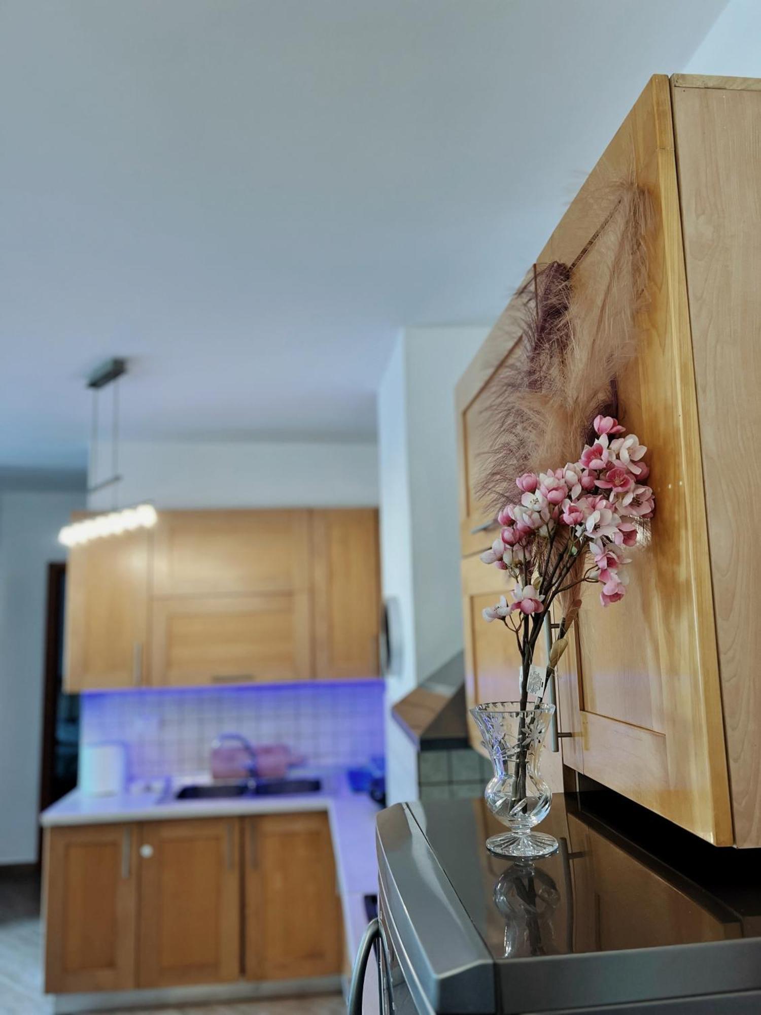 Lovely Apartment تيرانا المظهر الخارجي الصورة
